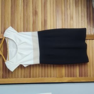 Calvin Klein Color Block Sheath Knee Length Dress Sz 6